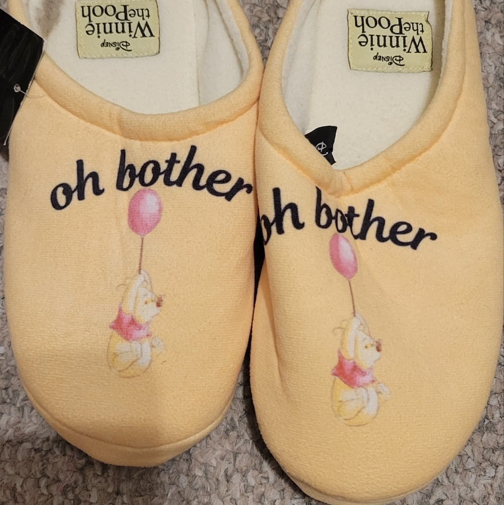 Winnie the Pooh slippers